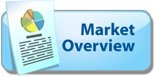 Market Overview Report Icon